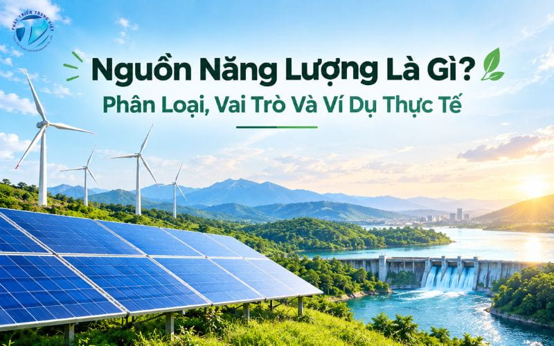 Nguồn Năng Lượng Là Gì? Phân Loại, Vai Trò Và Ví Dụ Thực Tế